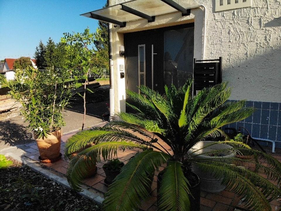 Sonnige 3 Zimmer Wohnung Mit Schoenem Balkon Im Gruenen ريوتلنجن المظهر الخارجي الصورة